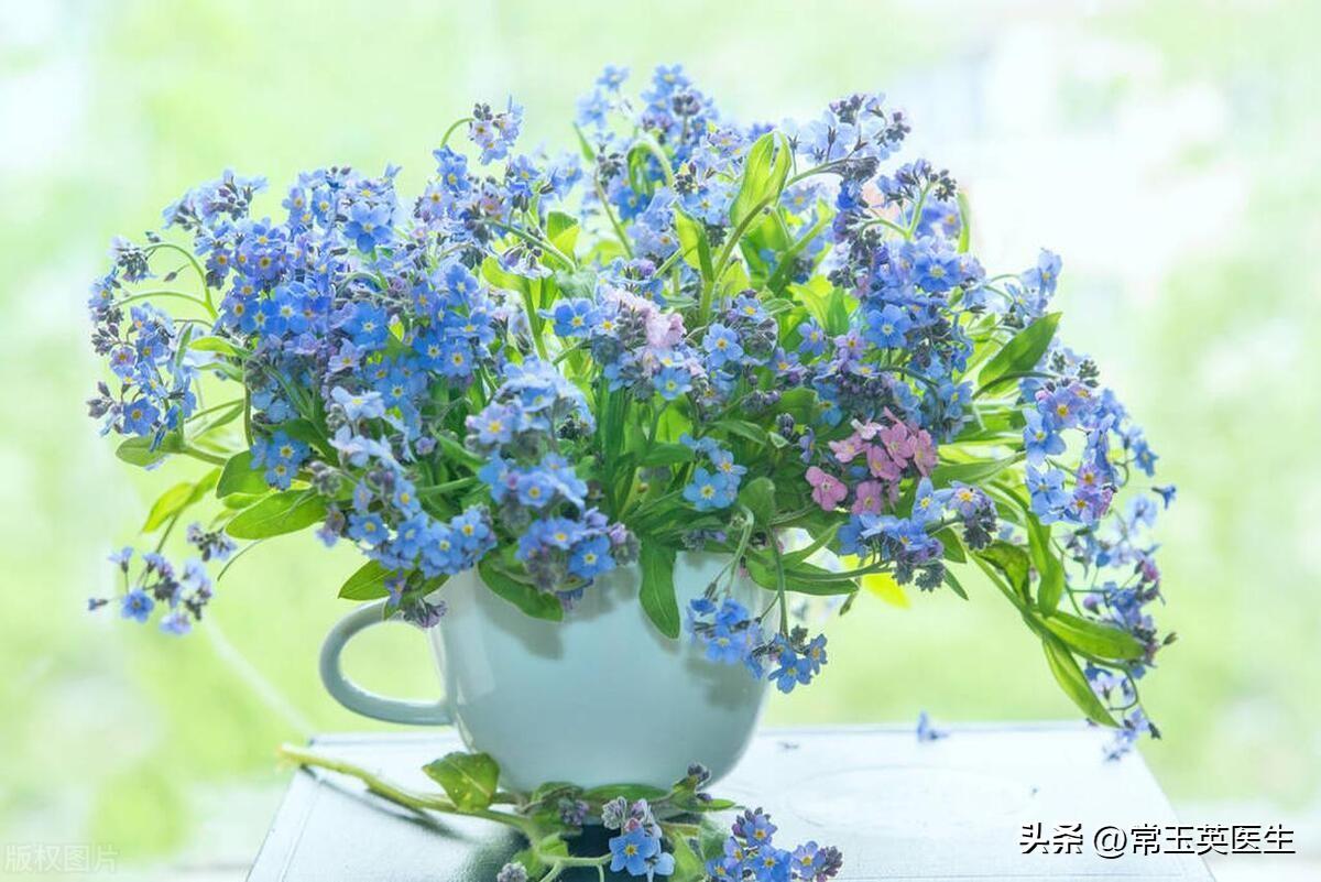 关于母爱的古诗句(图3)