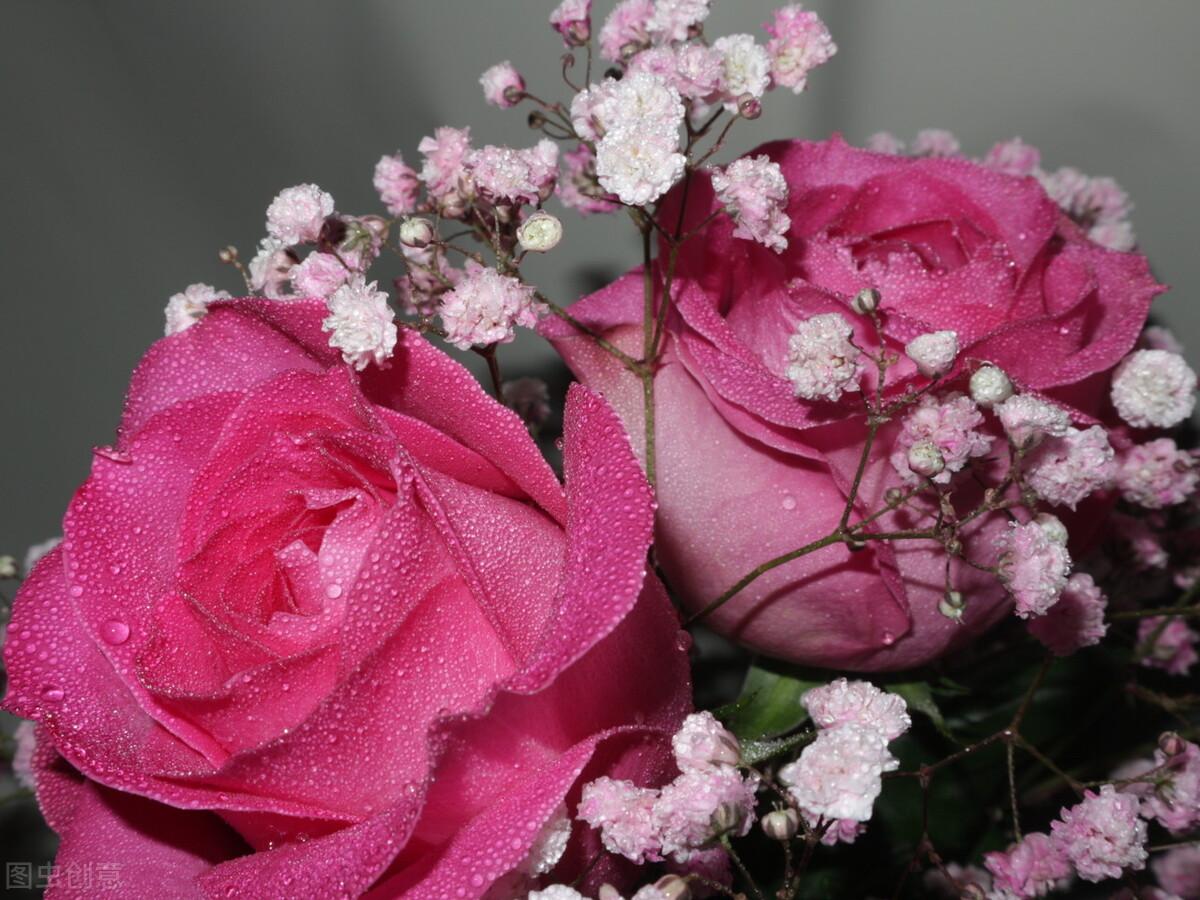 想你，成了一种习惯，天天想念，夜夜梦见(图1)