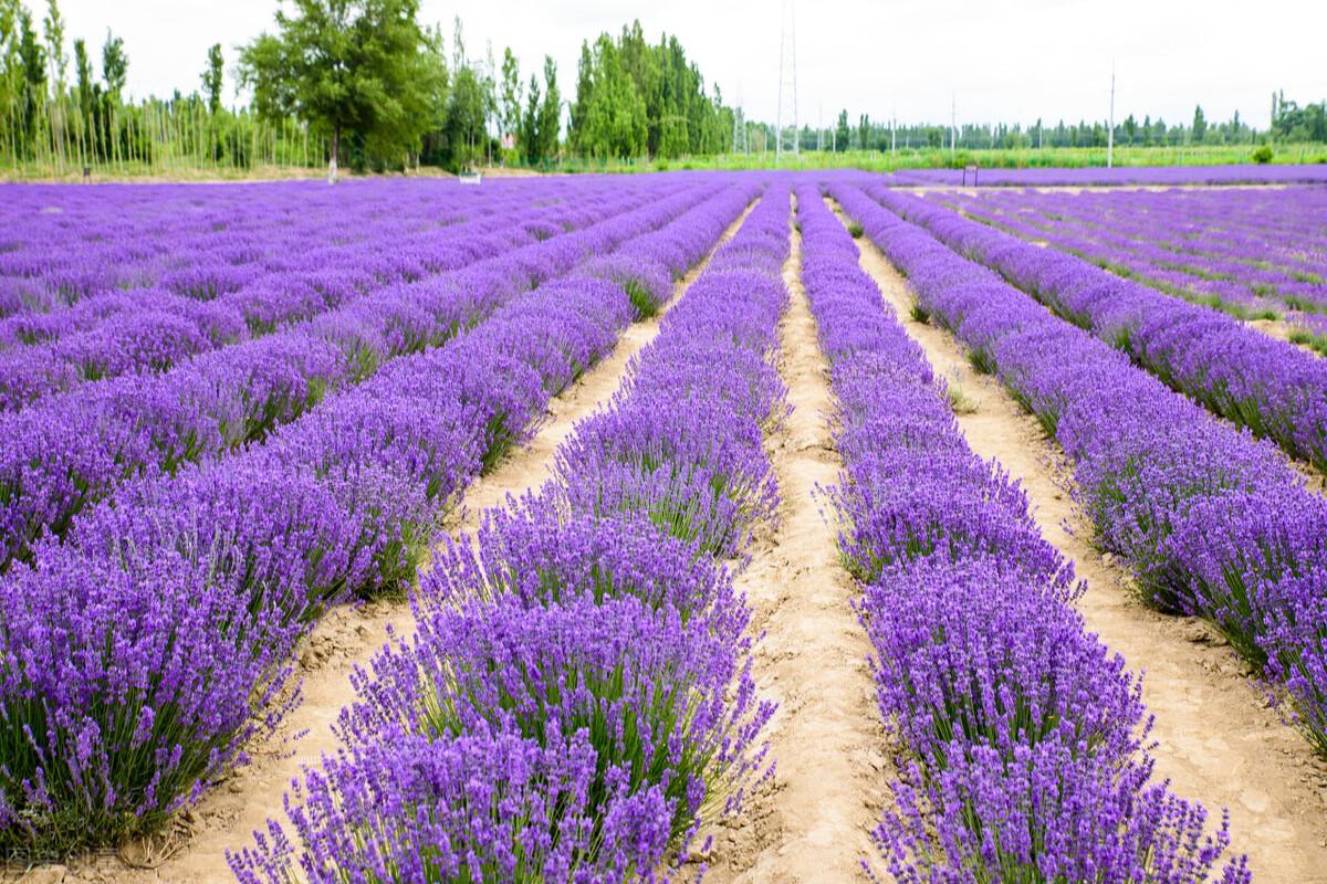 写给特别特别想念的人：每一天，每一夜，我都好想好想你(图2)