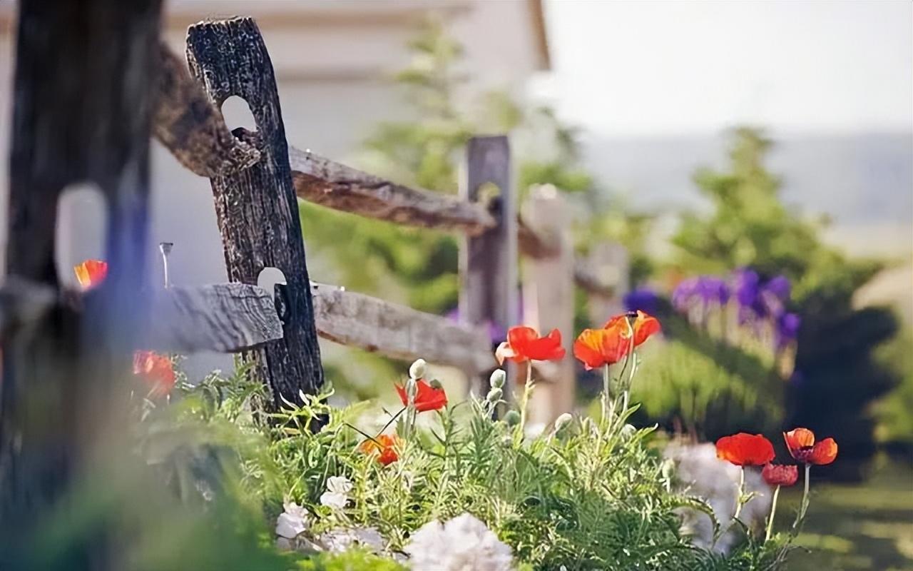 深夜的思念，20句走心文案短句(图3)