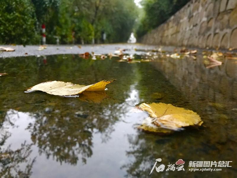 送你深秋的一場雪，贈你一個浪漫的烏魯木齊(图4)