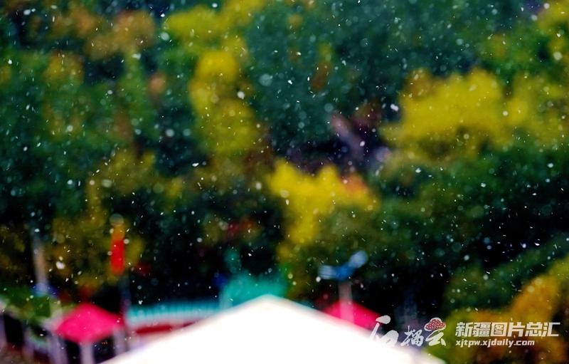 送你深秋的一場雪，贈你一個浪漫的烏魯木齊(图5)