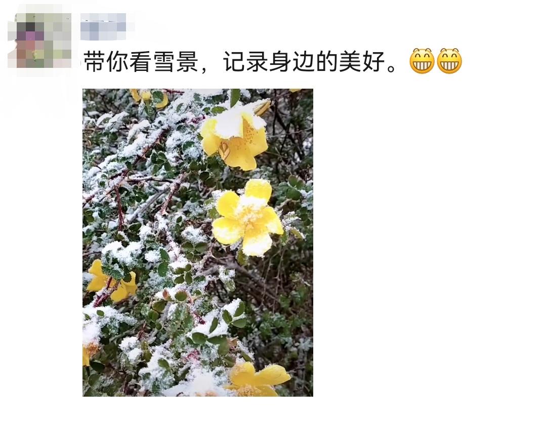 送你深秋的一場雪，贈你一個浪漫的烏魯木齊(图9)