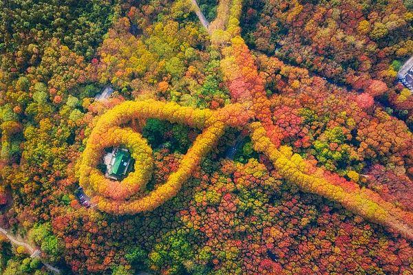 江苏「秋」色大赏(图1)