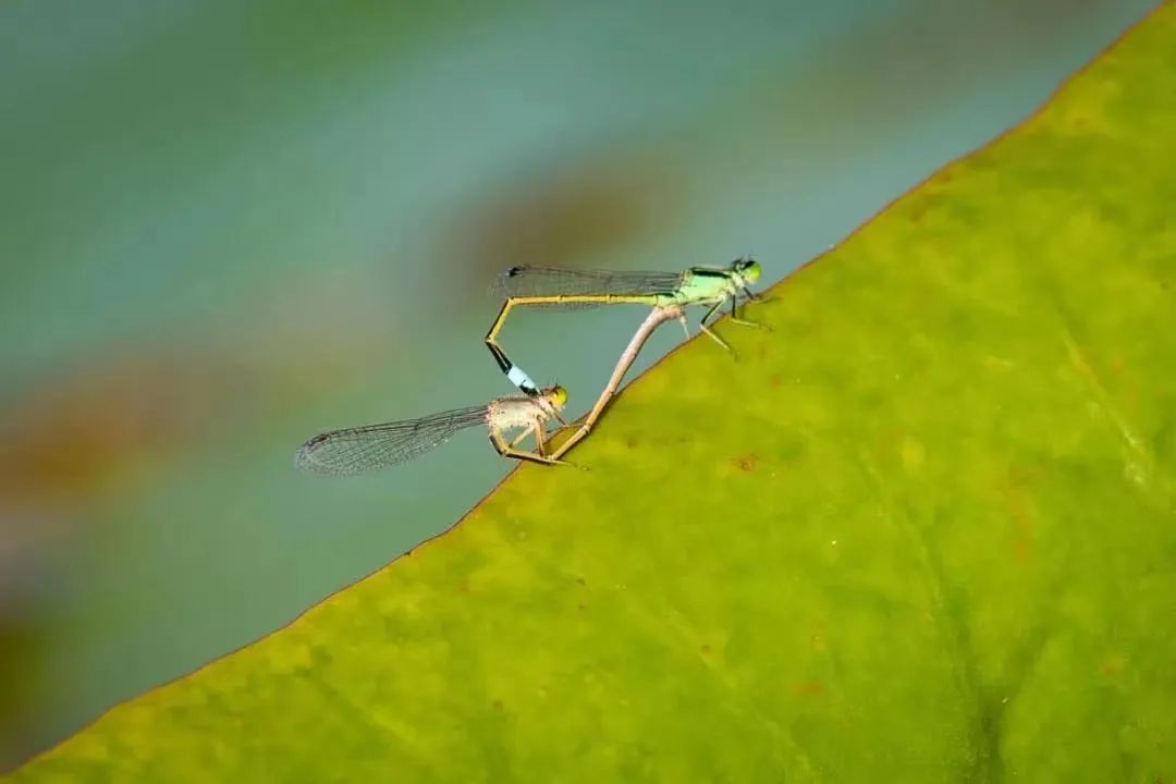江苏「秋」色大赏(图4)