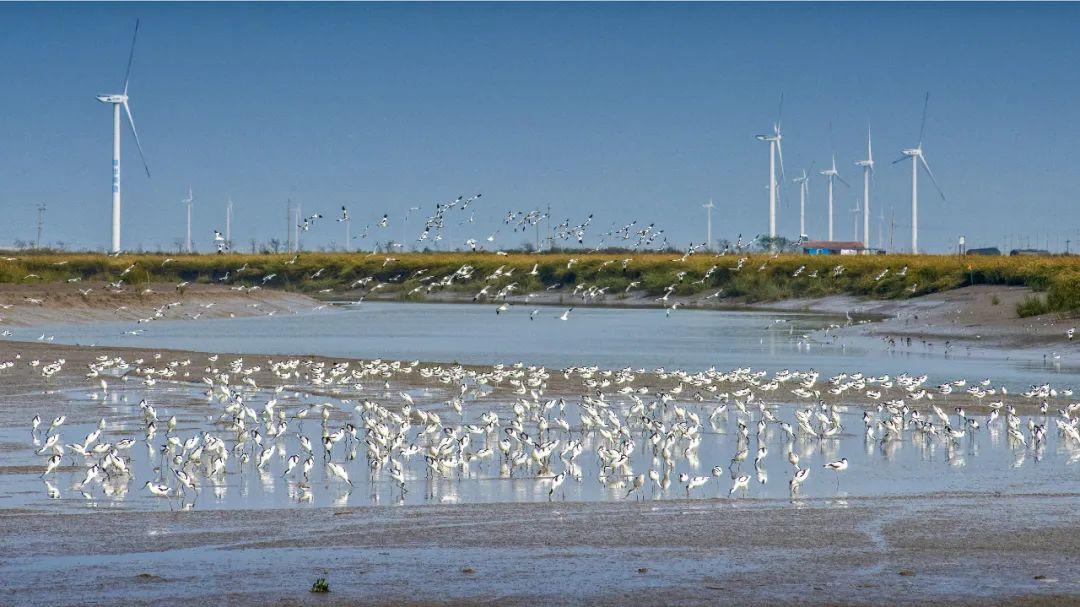 江苏「秋」色大赏(图8)