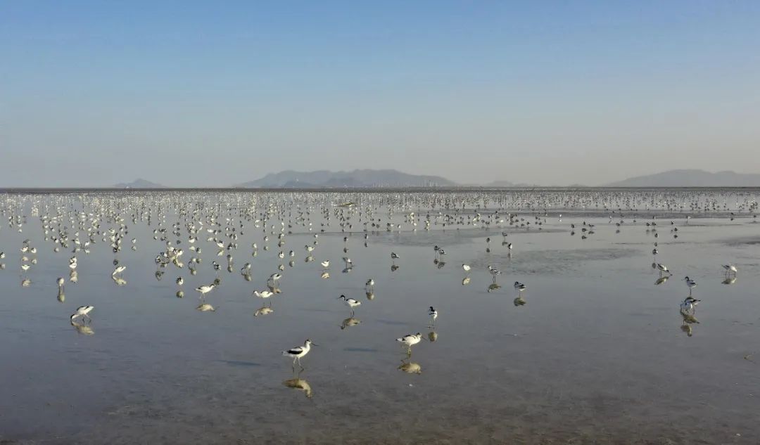 江苏「秋」色大赏(图9)