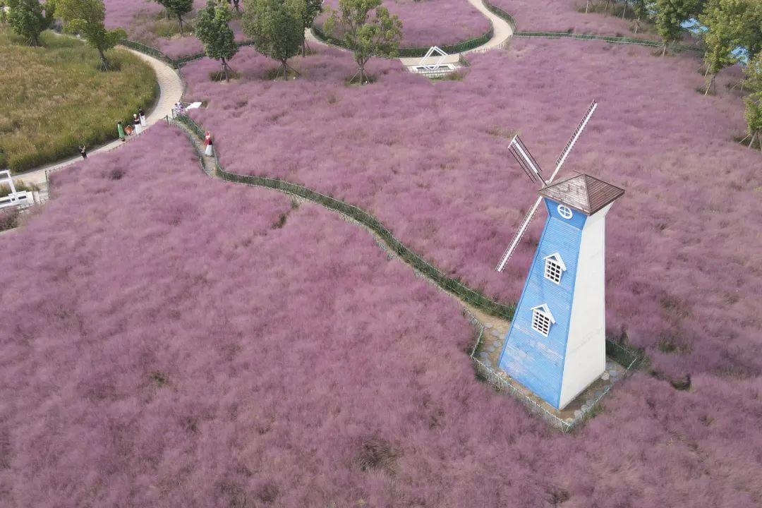 江苏「秋」色大赏(图10)