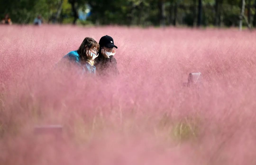 江苏「秋」色大赏(图11)