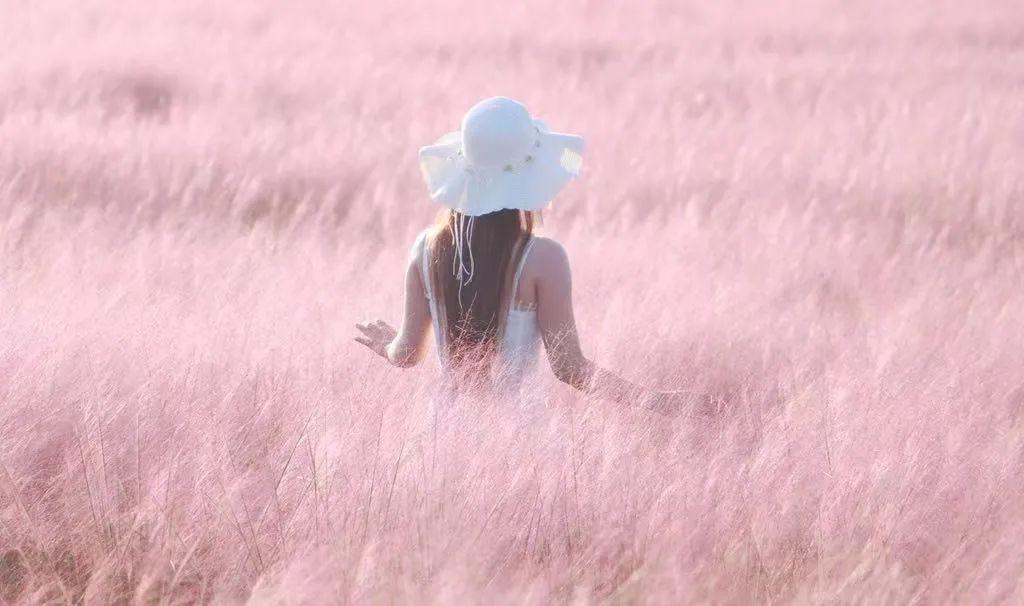 江苏「秋」色大赏(图12)