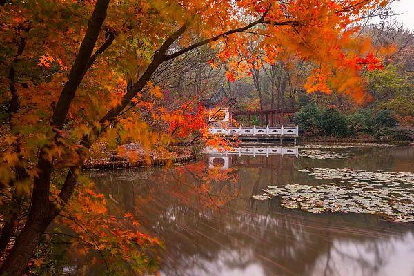 江苏「秋」色大赏(图16)