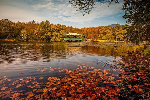 江苏「秋」色大赏(图21)