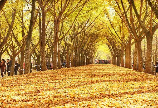 江苏「秋」色大赏(图23)