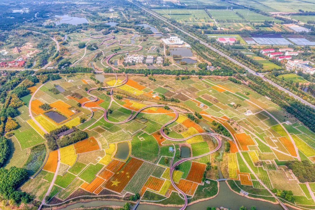 江苏「秋」色大赏(图27)