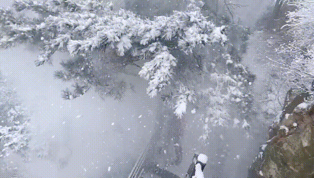 河南洛阳惊现降雪 老君山上雪花飞扬 唐代诗人刘禹锡早已赋诗一首(图3)