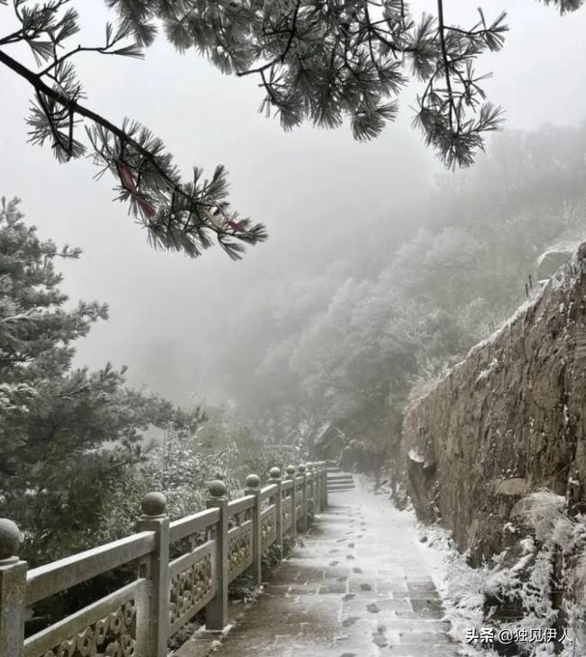 河南洛阳惊现降雪 老君山上雪花飞扬 唐代诗人刘禹锡早已赋诗一首(图4)