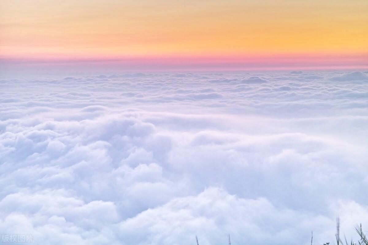 高级讽刺人虚伪的句子，认清现实，看透人性，道尽人性的句子(图1)