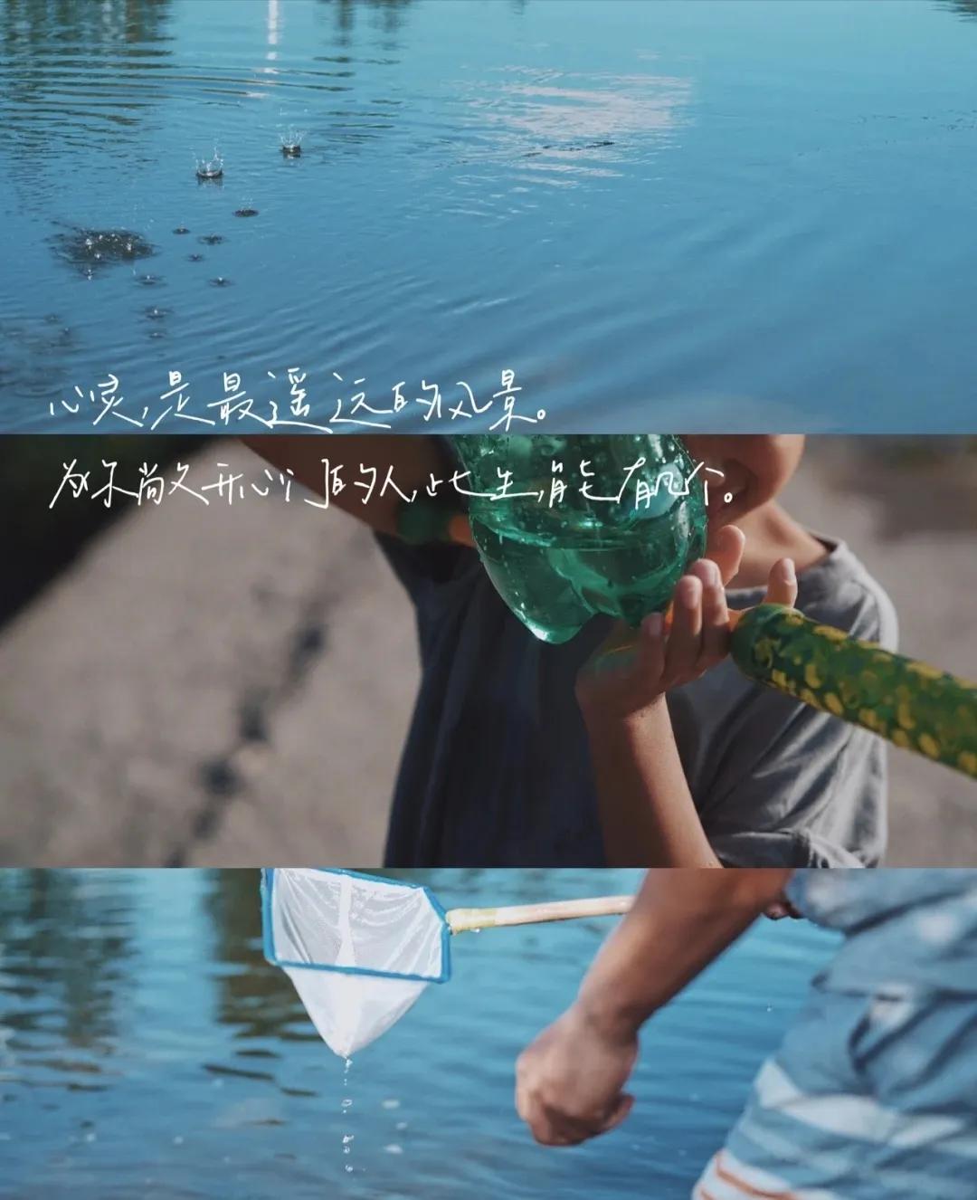 从容淡定做事，一旦开始，就要全力以赴，坚持到底(图5)