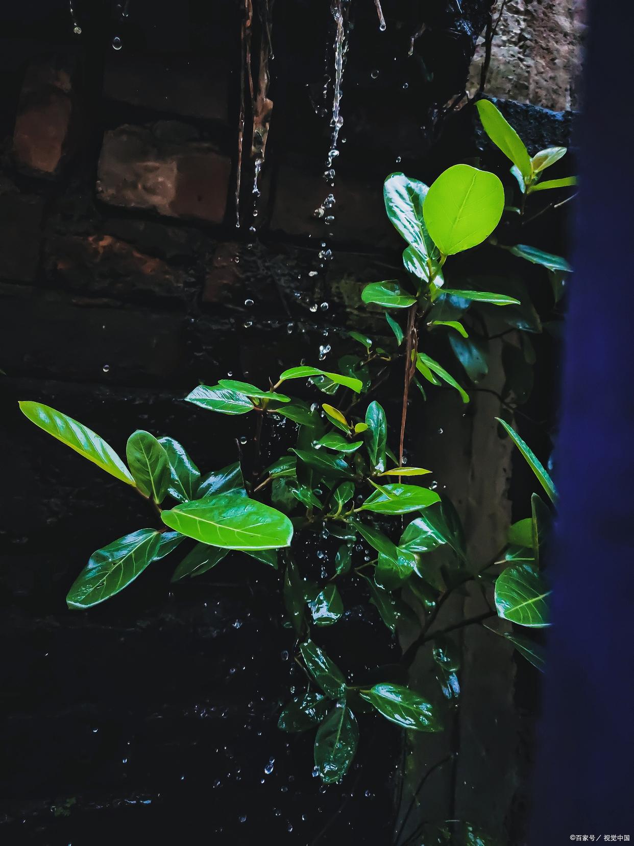 人间最美是清秋，在古诗词里，遇见最美的秋天(图9)