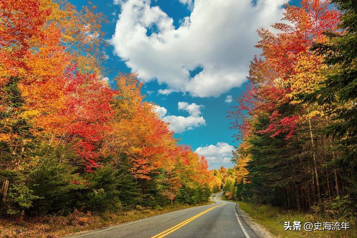 金秋时节的枫落，诉说着秋天的故事！岁月静好，人生如歌(图3)