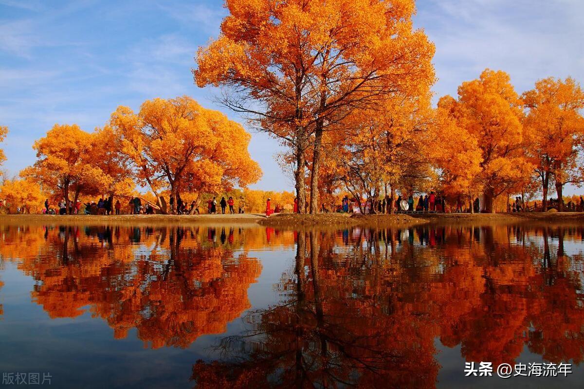 金秋时节的枫落，诉说着秋天的故事！岁月静好，人生如歌(图4)