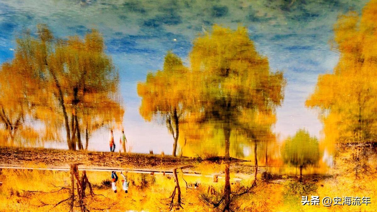 金秋时节的枫落，诉说着秋天的故事！岁月静好，人生如歌(图6)