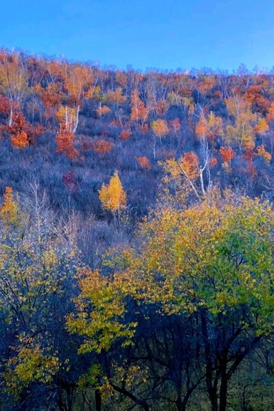 秋之静美，与心同醉(图1)