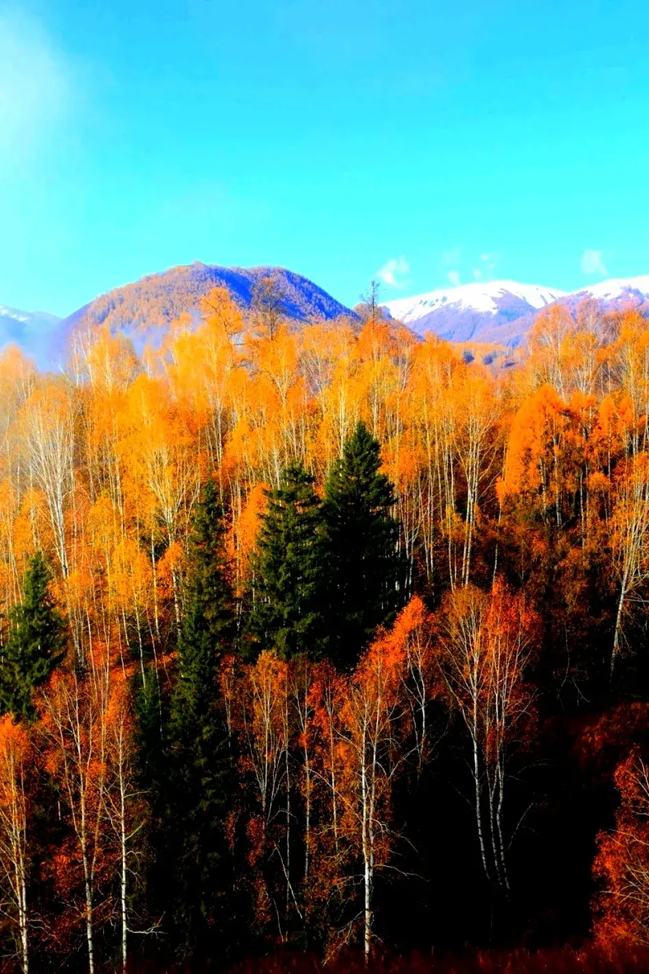 秋之静美，与心同醉(图3)