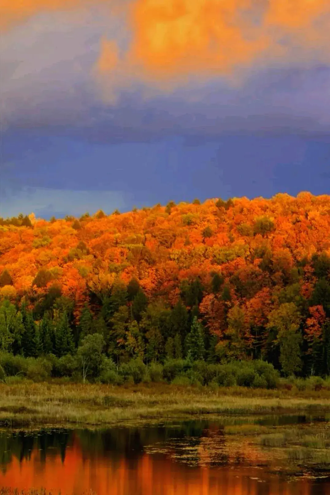 秋之静美，与心同醉(图4)