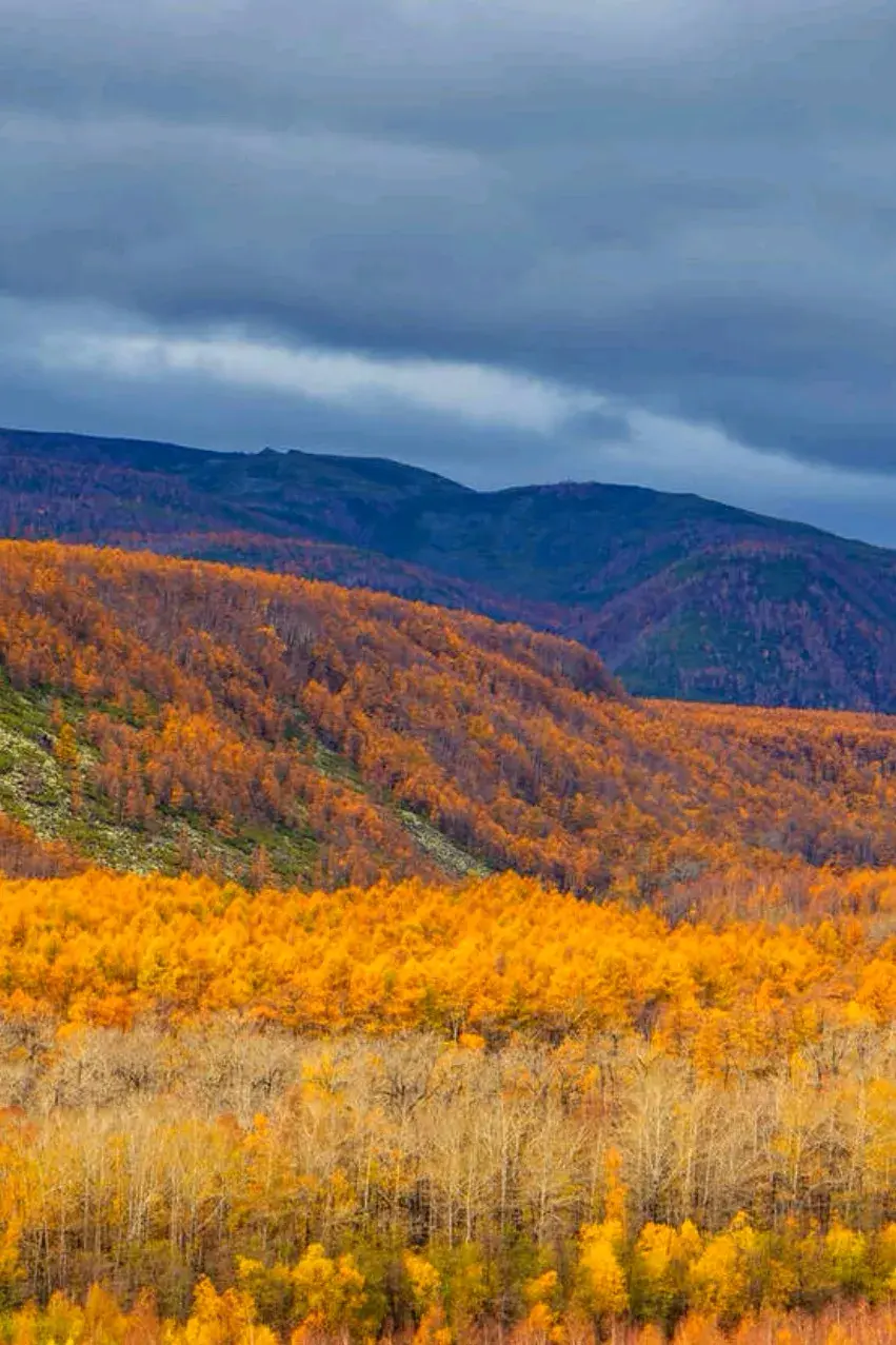 秋之静美，与心同醉(图5)