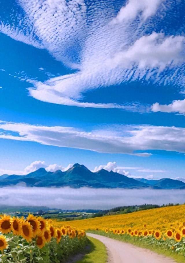 从富贵到落魄，人生如梦一场(图1)