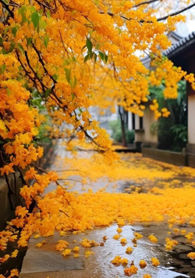 从富贵到落魄，人生如梦一场(图11)