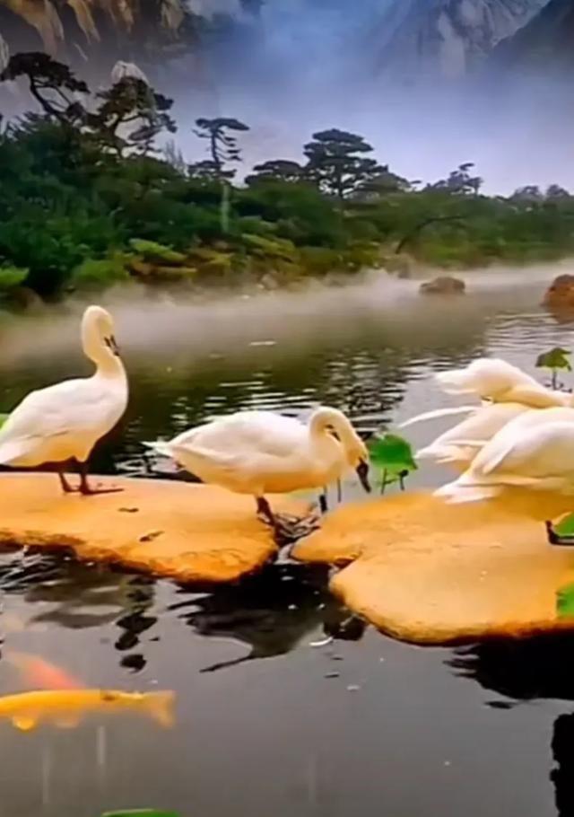 从富贵到落魄，人生如梦一场(图14)