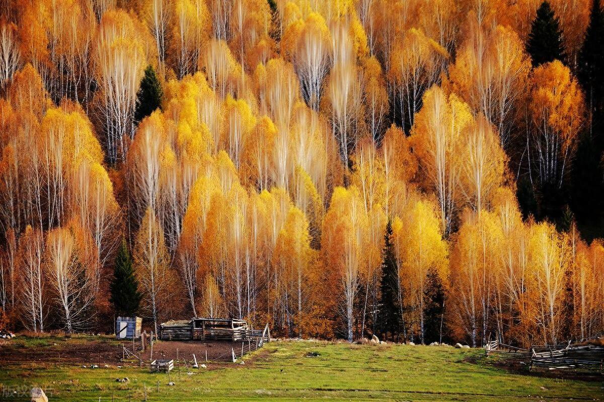 四季轮转，寒来暑往，秋收冬藏(图1)