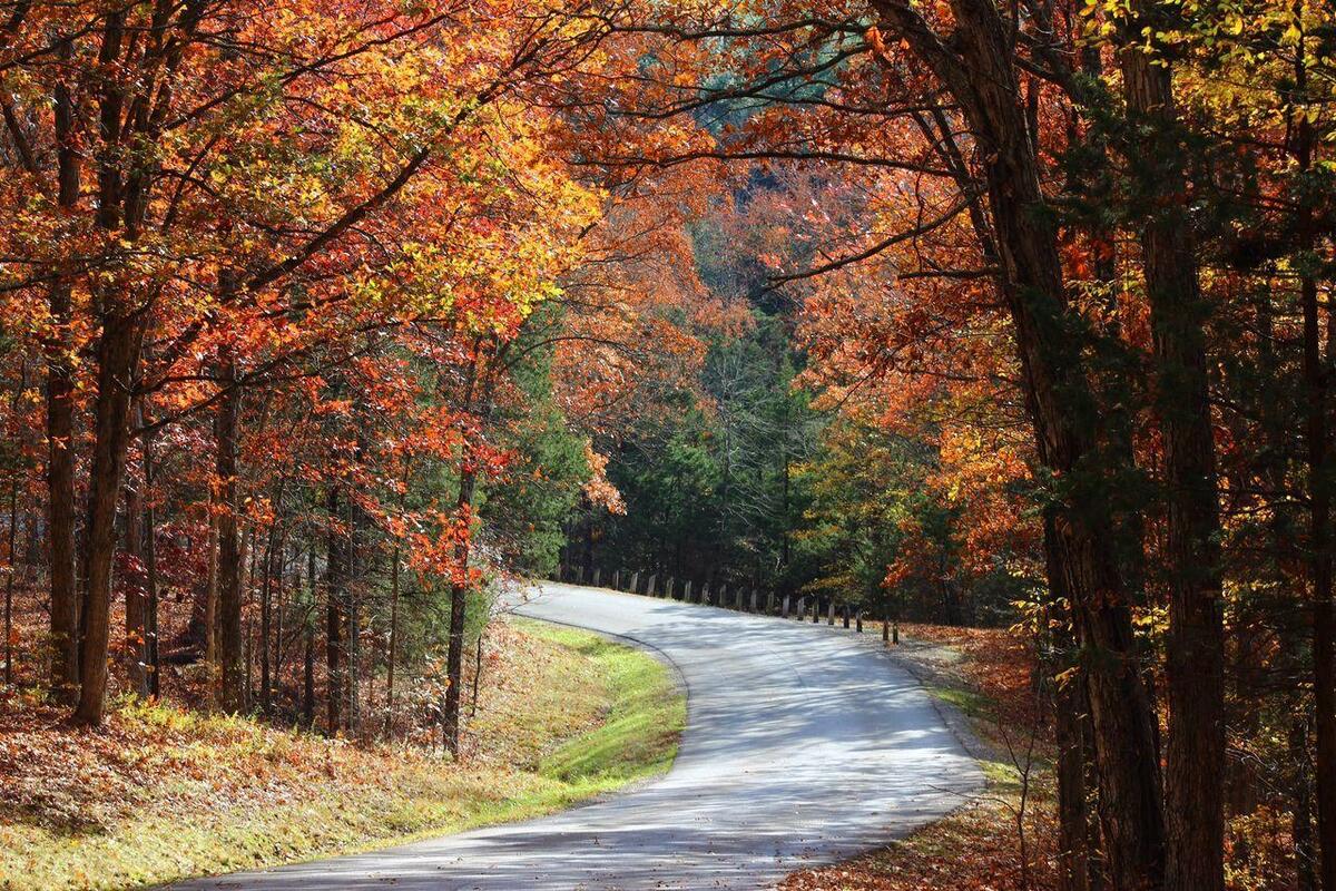 四季轮转，寒来暑往，秋收冬藏(图2)