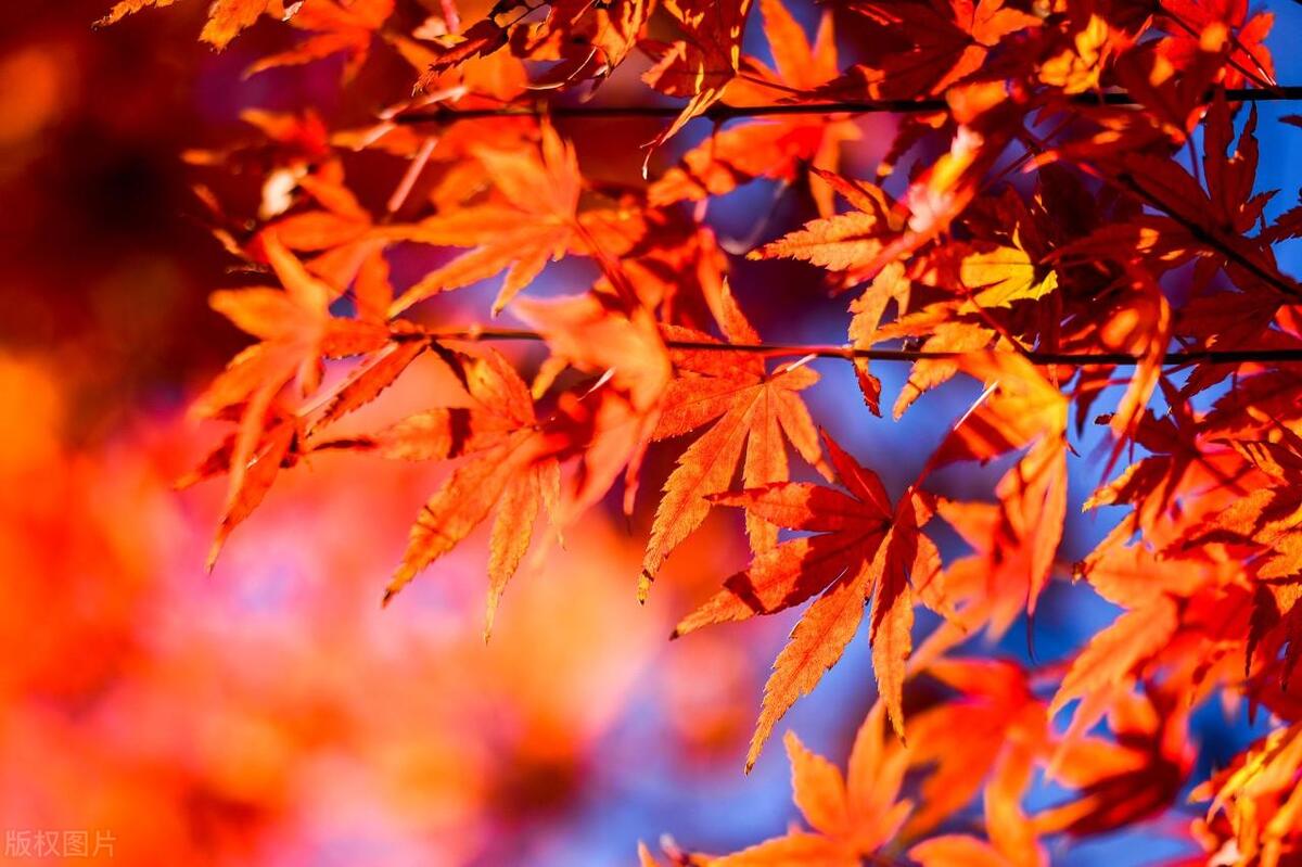 四季轮转，寒来暑往，秋收冬藏(图3)