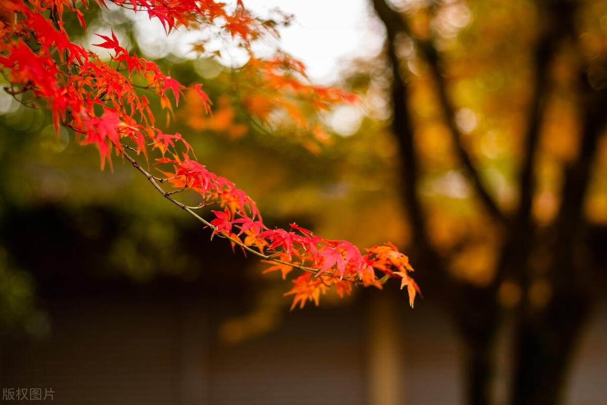 四季轮转，寒来暑往，秋收冬藏(图4)