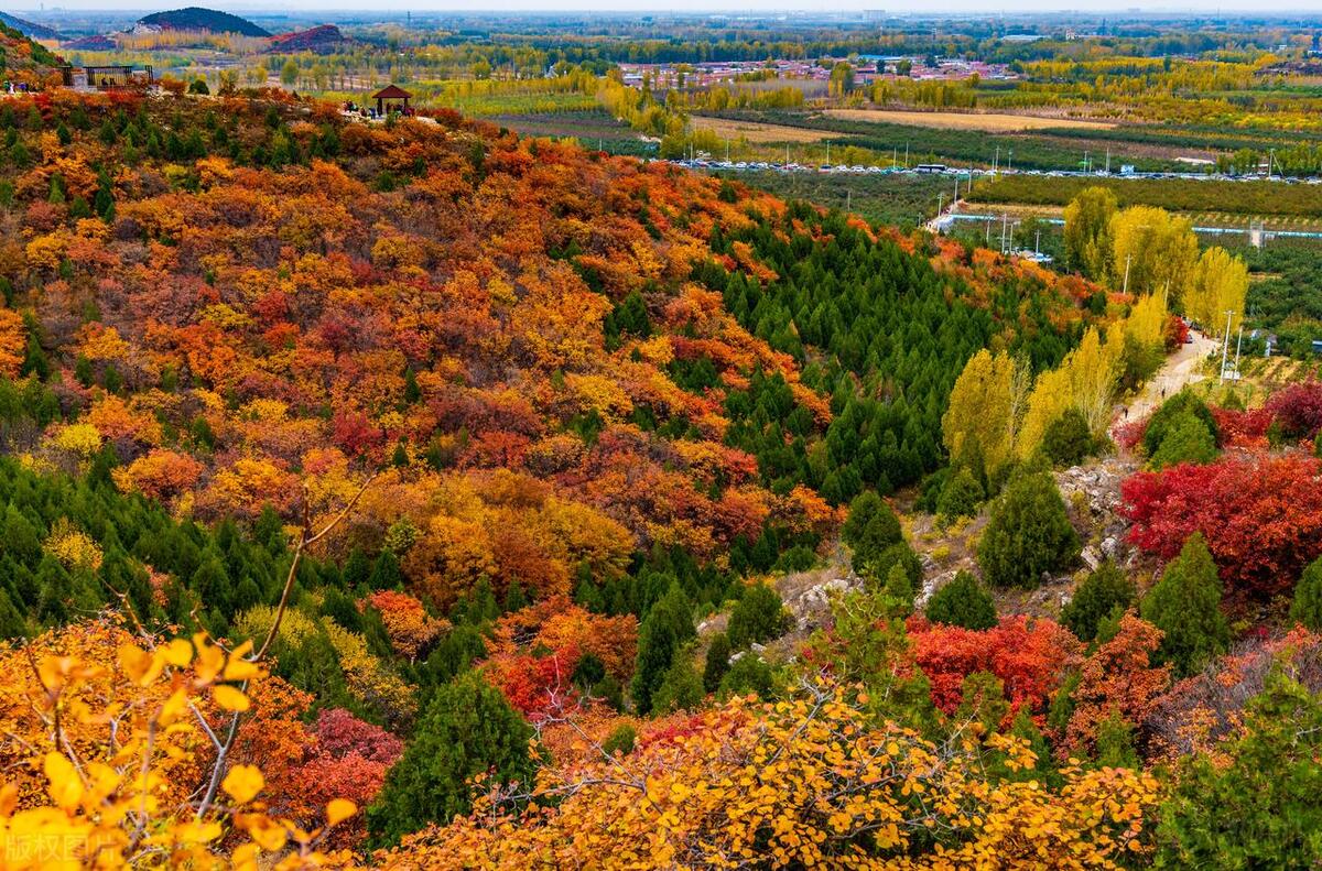 四季轮转，寒来暑往，秋收冬藏(图6)