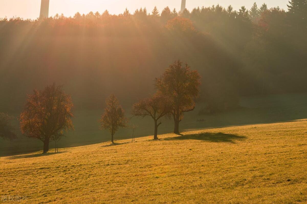 四季轮转，寒来暑往，秋收冬藏(图8)