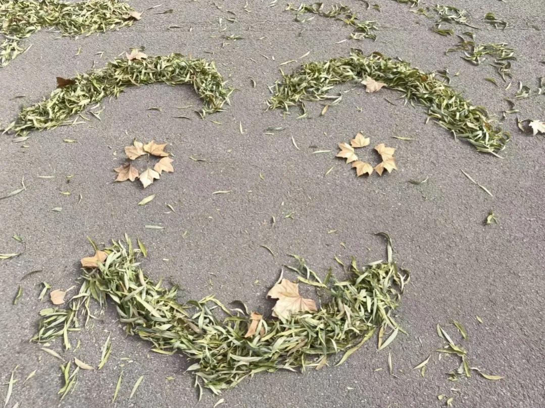 在风中凌乱，还是笑靥如花(图2)