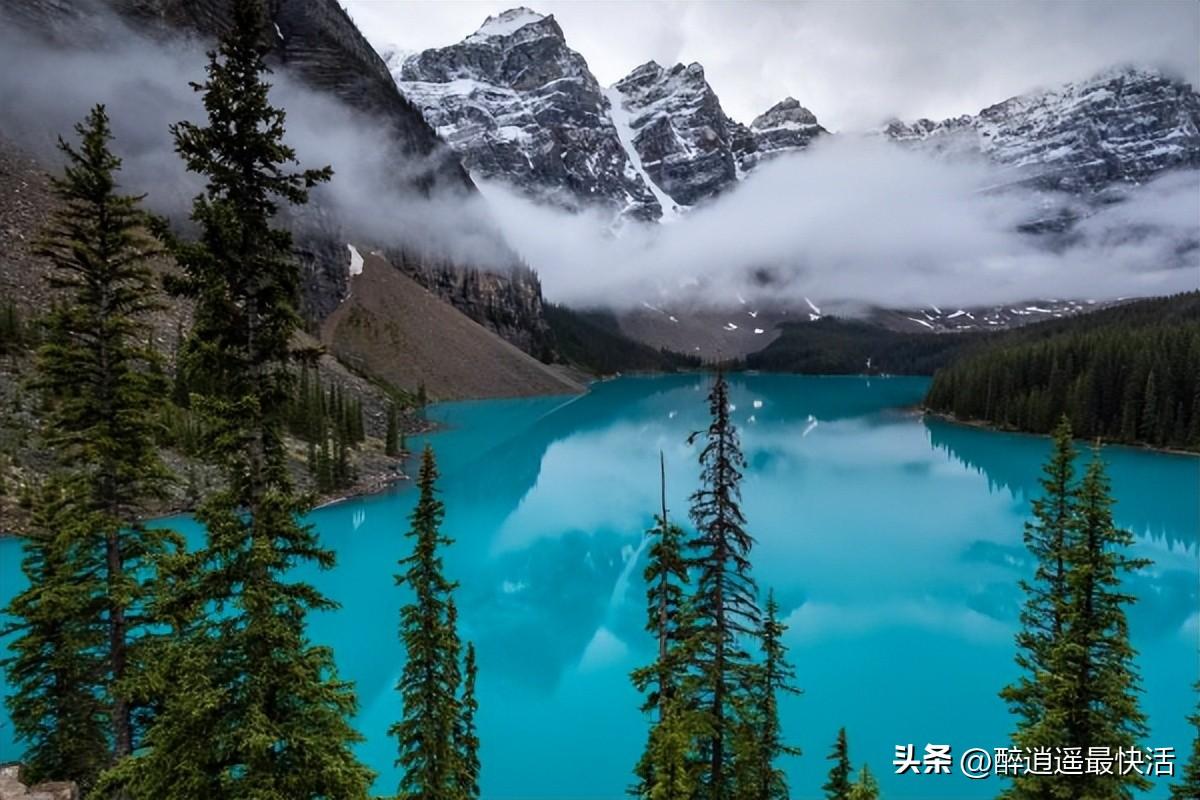 风中凌乱，尴尬得很(图1)