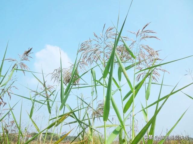 风中凌乱，尴尬得很(图3)