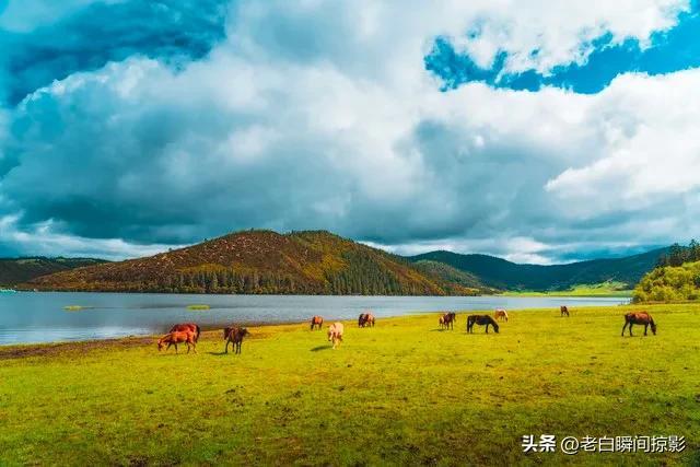 世事沧桑，岁月蹉跎，时光深处的那份恬淡，依然是岁月的静美(图3)