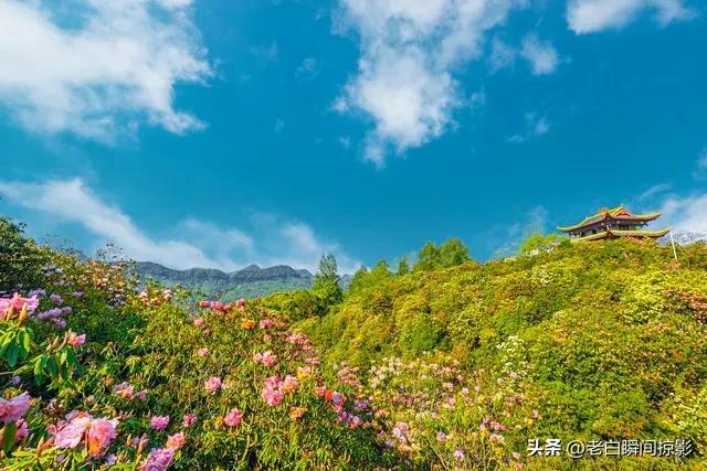 世事沧桑，岁月蹉跎，时光深处的那份恬淡，依然是岁月的静美(图8)