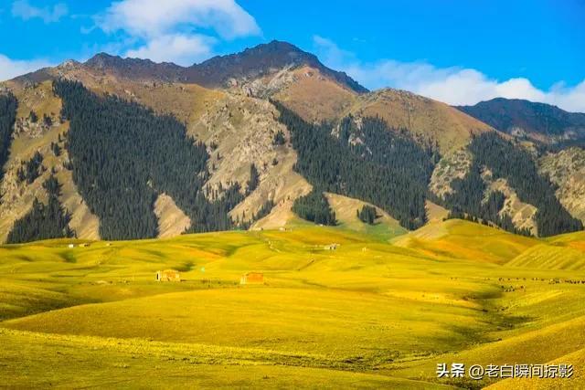 世事沧桑，岁月蹉跎，时光深处的那份恬淡，依然是岁月的静美(图17)