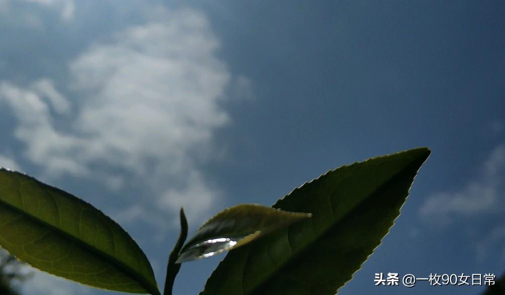 隐藏自卑，伪装坚强(图3)