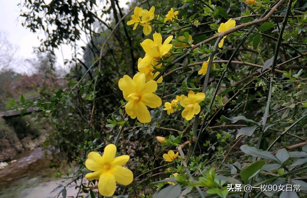 隐藏自卑，伪装坚强(图4)