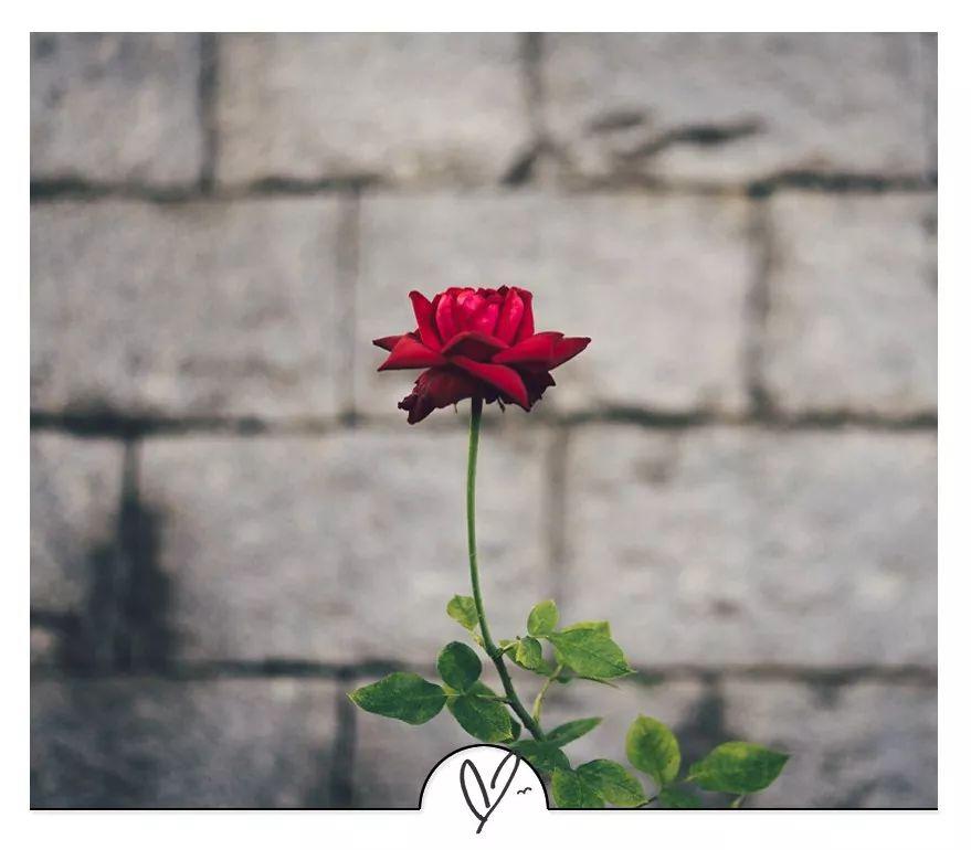 10句五月天的经典歌词，哪一句打动了你？(图23)