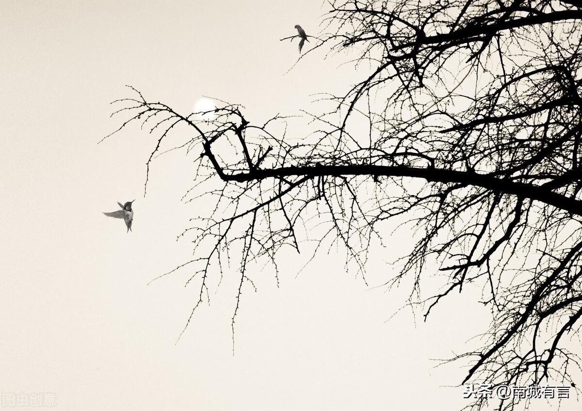 让你心动的歌词文案(图4)