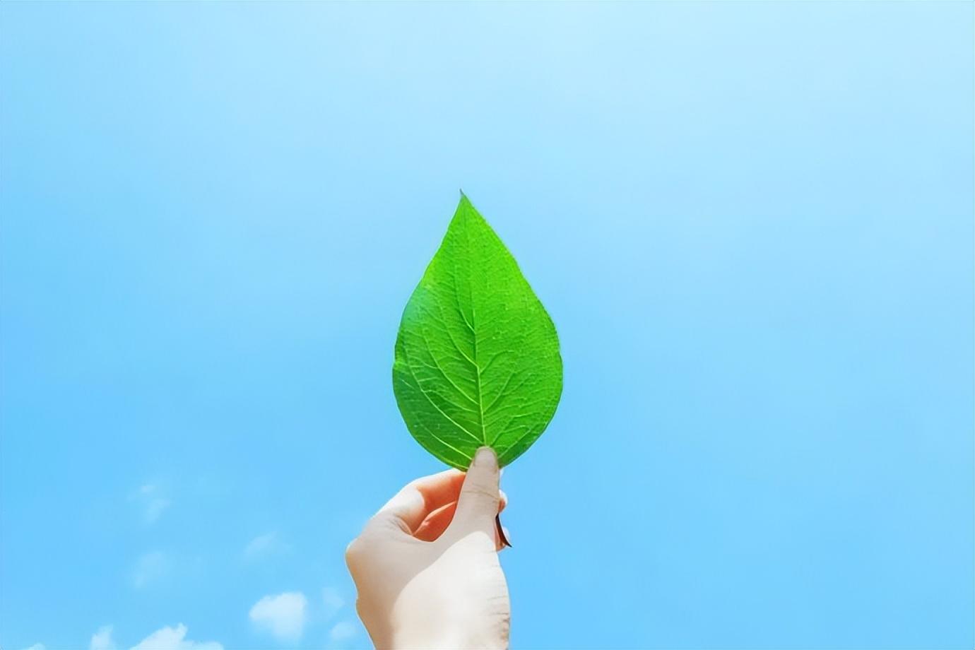 精心挑选的晚安心语文案说说：繁华过处皆如烟，淡淡人生静静过(图1)